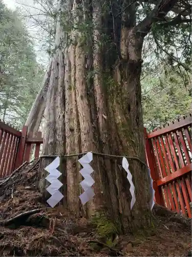 日光二荒山神社中宮祠(栃木県)