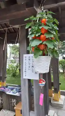 西野神社の手水舎