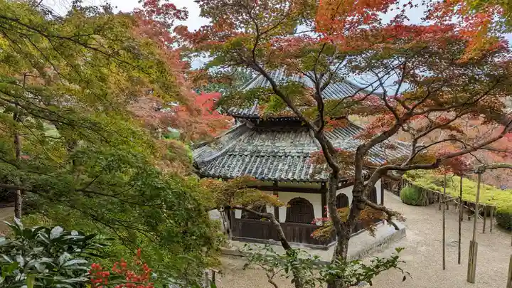 善峯寺(京都府)
