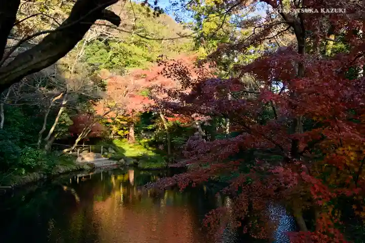 鶴岡八幡宮の庭園