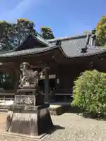 老津神社の狛犬