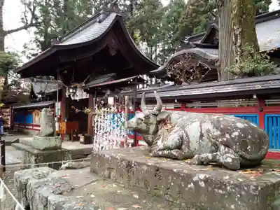 飛驒天満宮の狛犬