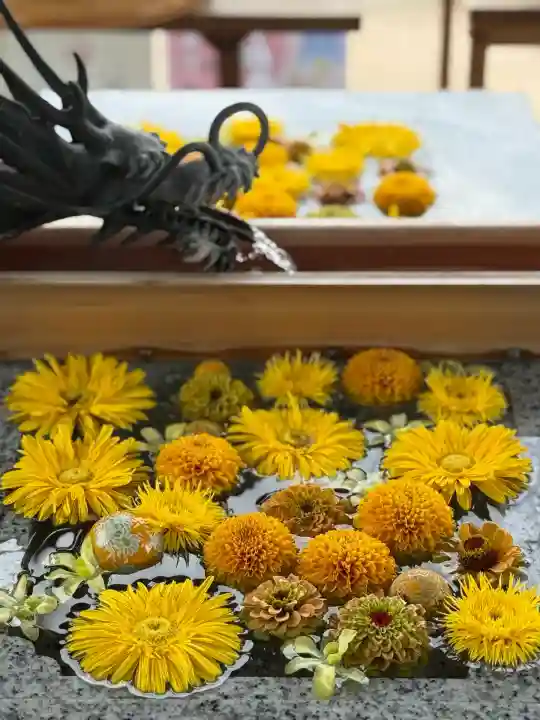 川越八幡宮(埼玉県)