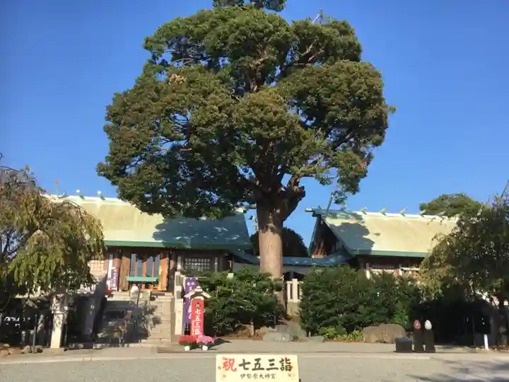 伊勢原大神宮の本殿・本堂