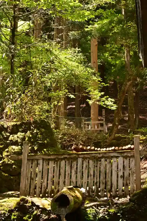 諏訪大社(長野県)