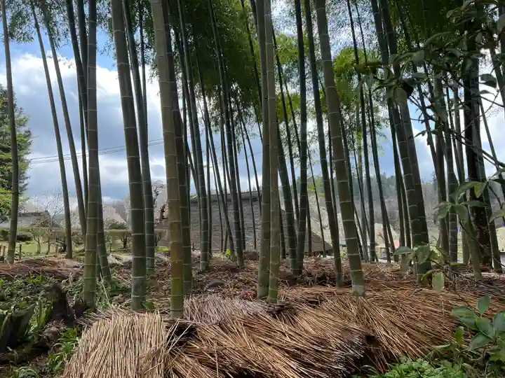 達谷西光寺(岩手県)