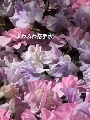 高円寺氷川神社(東京都)