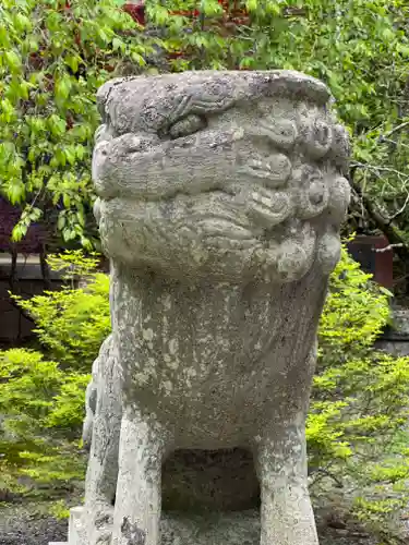 山中浅間神社の狛犬