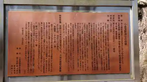 小室浅間神社の歴史