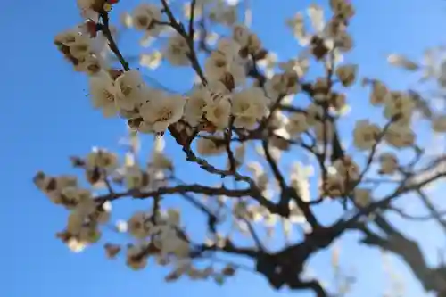 増上寺塔頭 三縁山 宝珠院(東京都)
