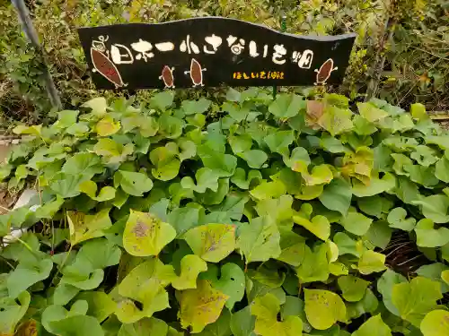 ほしいも神社の{uncategorized: "未分類", other: "その他", undefined: "問題あり", building: "その他建物", grave: "お墓", sacred_gate: "鳥居", guardian: "狛犬", statue: "像", buddha: "仏像", history: "歴史", nature: "自然", garden: "庭園", animal: "動物", pagoda: "塔", temizu: "手水舎", mountain_gate: "山門・神門", sanctuary: "本殿・本堂", subordinate: "末社・摂社", art: "芸術", scenery: "景色", jizo: "地蔵", ema: "絵馬", goshuin: "御朱印", omikuji: "おみくじ", items: "授与品その他", amulet: "お守り", goshuincho: "御朱印帳", eats: "食事", festival: "お祭り", votive_dance: "神楽", shichigosan: "七五三参", wedding: "結婚式", experience: "体験その他", initially: "初詣", around: "周辺", anti_infection: "感染症対策"}