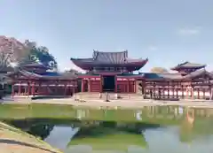 平等院(京都府)