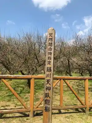 菅原神社(鹿児島県)