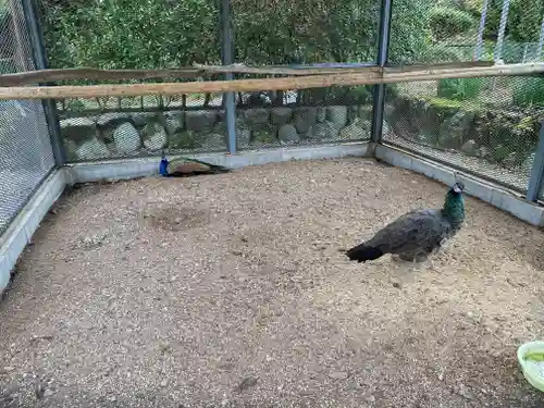 天台宗 五大山 白毫寺(兵庫県)