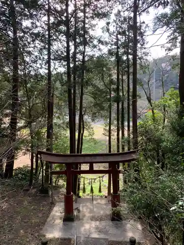 小山野神社の鳥居