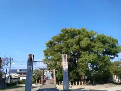 北野天満宮(福岡県)