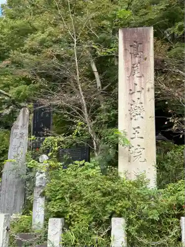 高尾山薬王院(東京都)