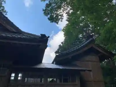 熊野神社の本殿・本堂