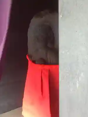 宮西地蔵尊（延命地蔵・ぽっくり地蔵）の地蔵