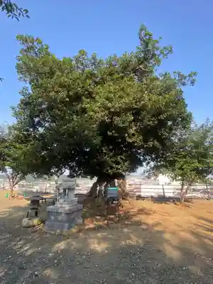 植田八幡神社(福島県)
