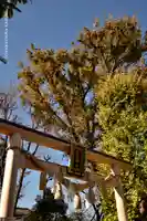 蛇窪神社の鳥居