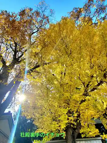 阿邪訶根神社(福島県)