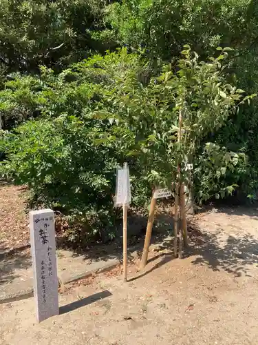 白子神社(千葉県)