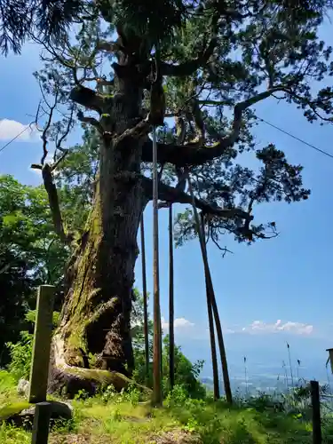 木幡山隠津島神社(二本松市)の自然