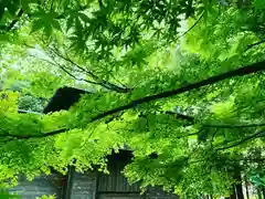 滑川神社 - 仕事と子どもの守り神の自然