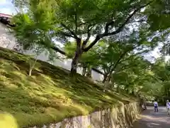 曼殊院門跡(京都府)