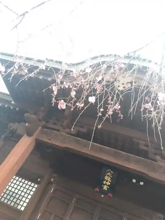 八大龍神総宮社の本殿・本堂