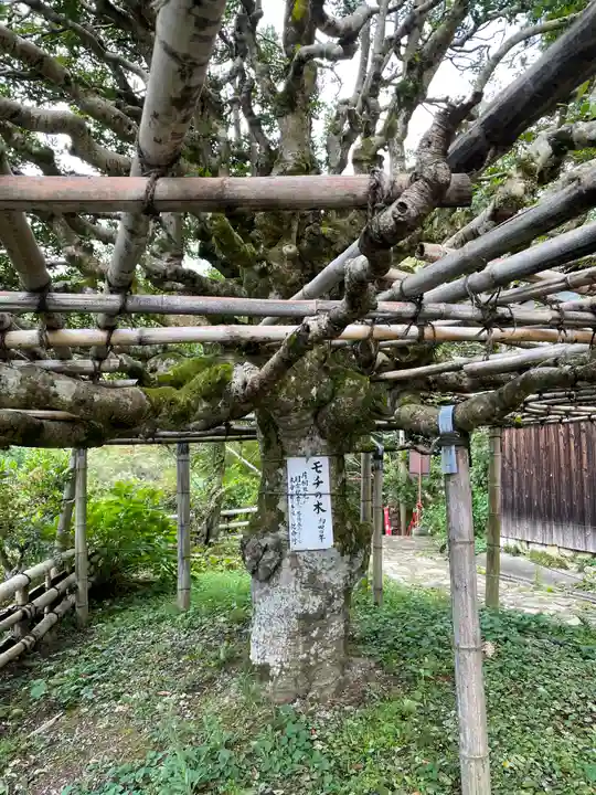 宝厳寺(滋賀県)