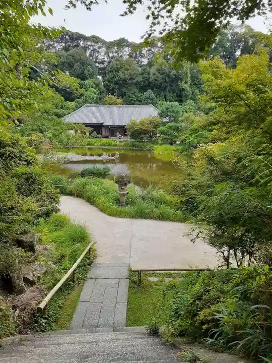 浄瑠璃寺(京都府)