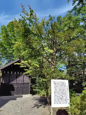 比布神社(北海道)