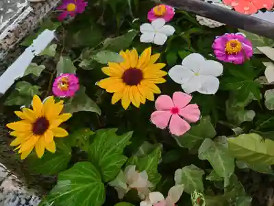 祖母井神社(栃木県)