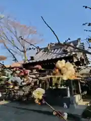 法輪寺の自然