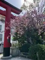 亀戸天神社の自然