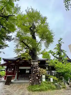 素盞雄神社(東京都)