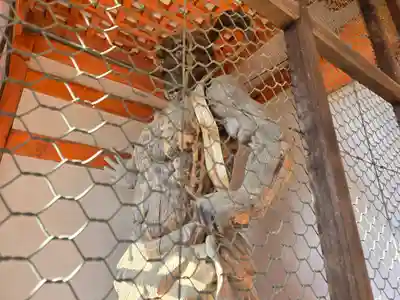 龍泉寺(大阪府)