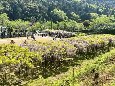 天台宗 五大山 白毫寺(兵庫県)