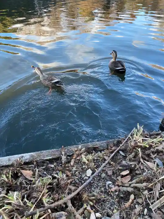 乃木神社(栃木県)