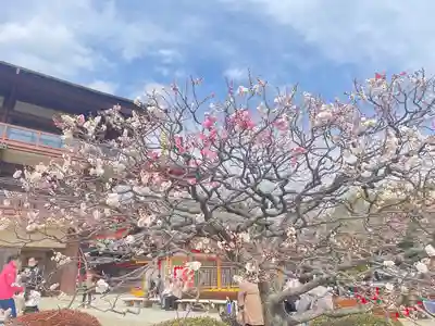 中山寺(兵庫県)