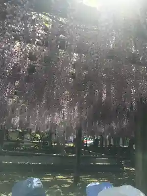 禎祥寺(愛媛県)