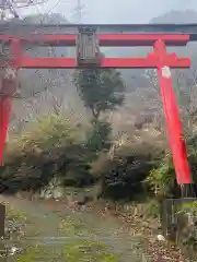 扇之宮稲荷神社の鳥居