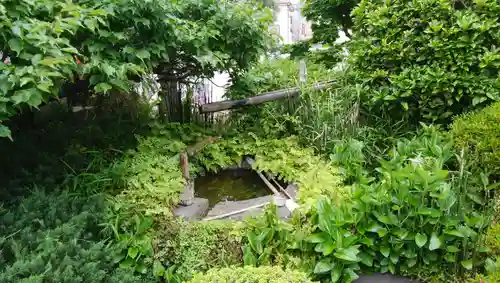 龍華寺の手水舎