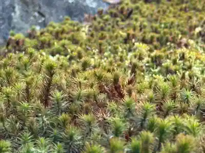 西方山極楽寺(岐阜県)