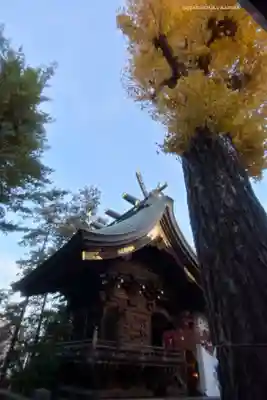 越谷香取神社(埼玉県)