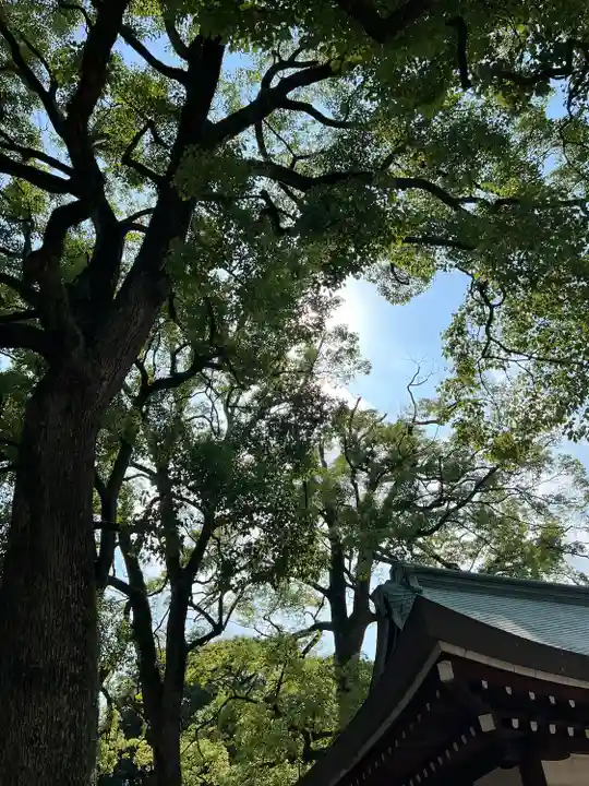 武蔵一宮氷川神社(埼玉県)
