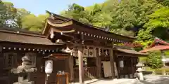 出雲大神宮の本殿