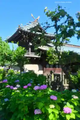 白山神社(東京都)